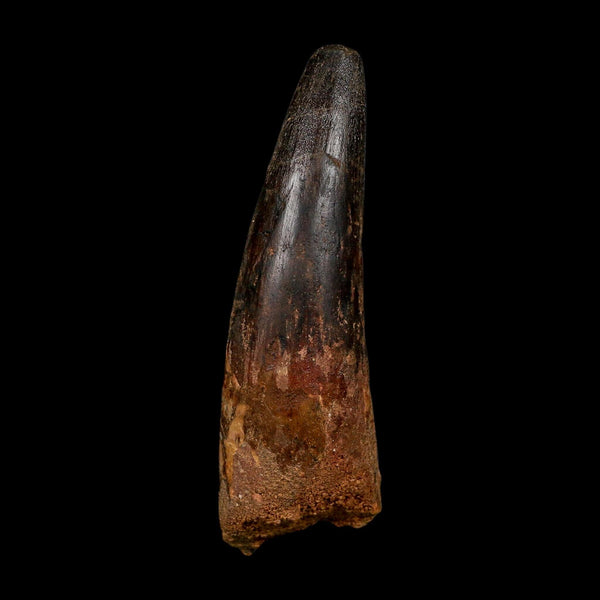 XL 3.9