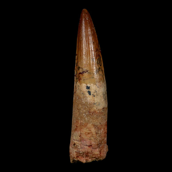 XL 4