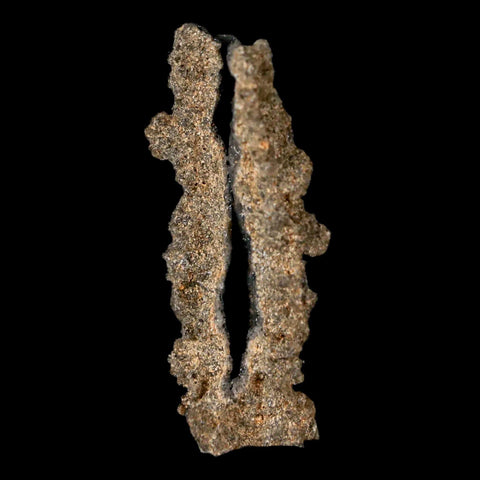 1.8" Fulgurite Petrified Lighting Strike Glass Sahara Desert Algeria - Fossil Age Minerals