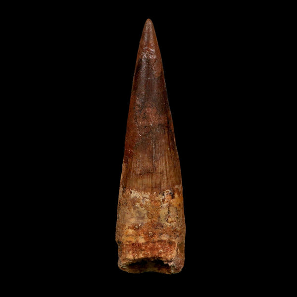 XL 4.3