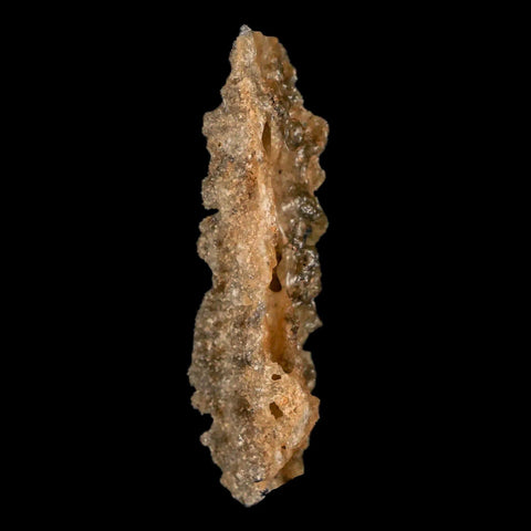 2" Fulgurite Petrified Lighting Strike Glass Sahara Desert Algeria - Fossil Age Minerals