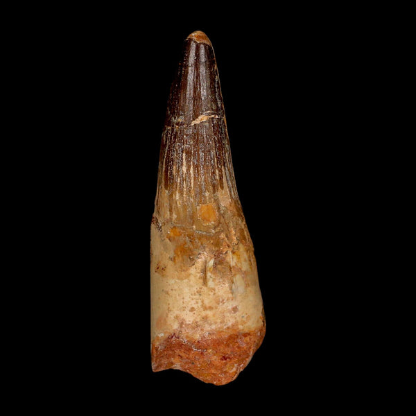 XL 3.7