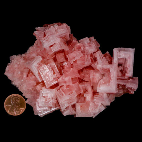 4.3" Quality Pink Halite Salt Crystals Cluster Mineral Trona, CA Searles Lake - Fossil Age Minerals
