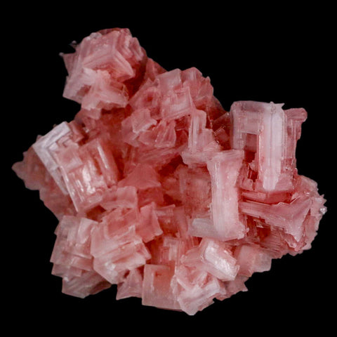 4.3" Quality Pink Halite Salt Crystals Cluster Mineral Trona, CA Searles Lake - Fossil Age Minerals