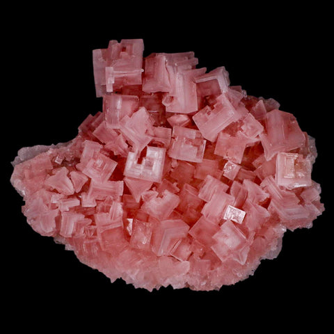 5.1" Quality Pink Halite Salt Crystals Cluster Mineral Trona, CA Searles Lake - Fossil Age Minerals