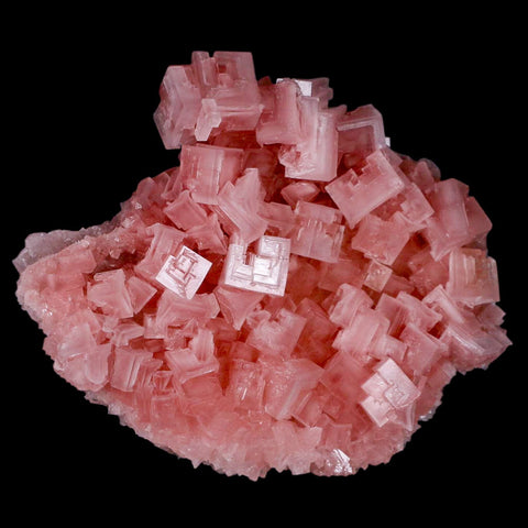 5.1" Quality Pink Halite Salt Crystals Cluster Mineral Trona, CA Searles Lake - Fossil Age Minerals
