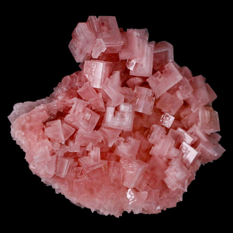 5.1" Quality Pink Halite Salt Crystals Cluster Mineral Trona, CA Searles Lake - Fossil Age Minerals