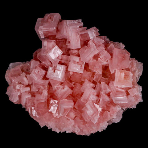 5.1" Quality Pink Halite Salt Crystals Cluster Mineral Trona, CA Searles Lake - Fossil Age Minerals