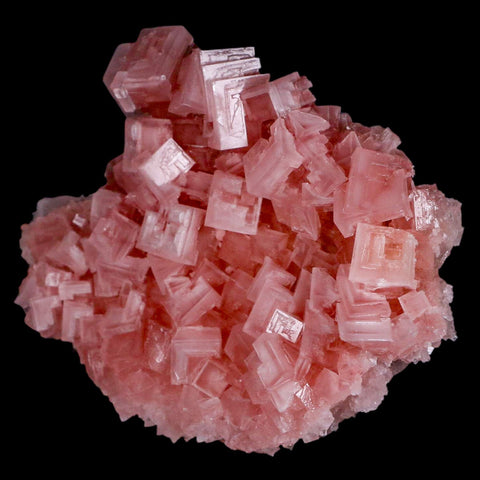 5.1" Quality Pink Halite Salt Crystals Cluster Mineral Trona, CA Searles Lake - Fossil Age Minerals