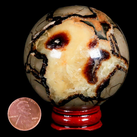 XL 59MM Septarian Dragon Stone Vug Sphere Mineral Healing Madagascar Stand - Fossil Age Minerals