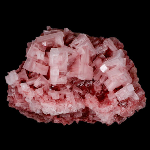 4.1" Quality Deep Pink Halite Salt Crystals Cluster Mineral Trona, CA Searles Lake - Fossil Age Minerals