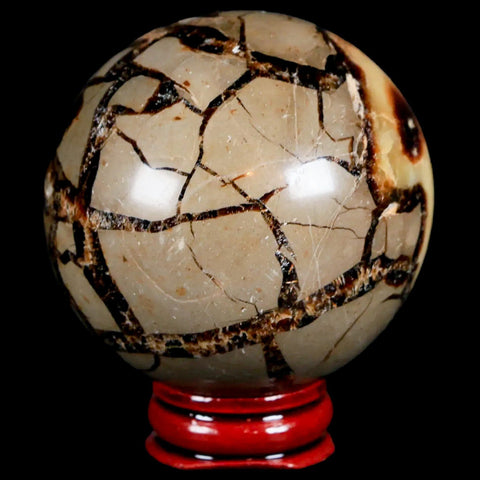 XL 59MM Septarian Dragon Stone Vug Sphere Mineral Healing Madagascar Stand - Fossil Age Minerals