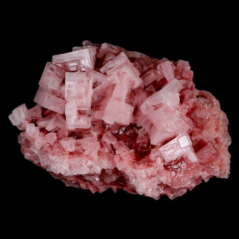 4.1" Quality Deep Pink Halite Salt Crystals Cluster Mineral Trona, CA Searles Lake - Fossil Age Minerals