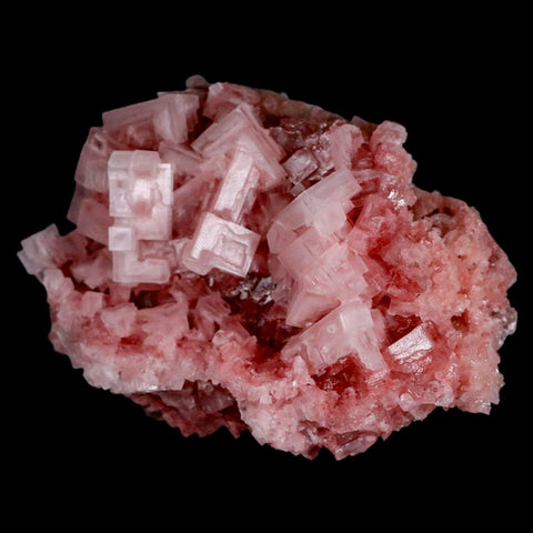 4.1" Quality Deep Pink Halite Salt Crystals Cluster Mineral Trona, CA Searles Lake - Fossil Age Minerals