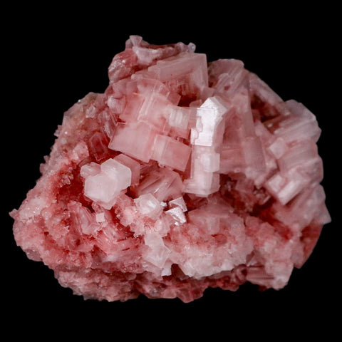 4.1" Quality Deep Pink Halite Salt Crystals Cluster Mineral Trona, CA Searles Lake - Fossil Age Minerals