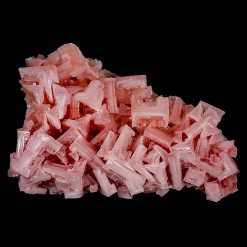 5.5" Quality Deep Pink Halite Salt Crystals Cluster Mineral Trona, CA Searles Lake - Fossil Age Minerals