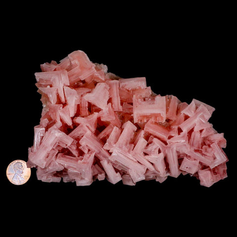 5.5" Quality Deep Pink Halite Salt Crystals Cluster Mineral Trona, CA Searles Lake - Fossil Age Minerals