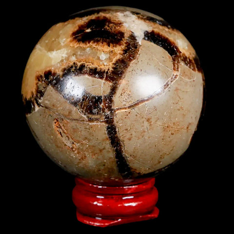 XL 51MM Septarian Dragon Stone Vug Sphere Mineral Healing Madagascar Stand - Fossil Age Minerals