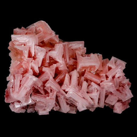 5.5" Quality Deep Pink Halite Salt Crystals Cluster Mineral Trona, CA Searles Lake - Fossil Age Minerals