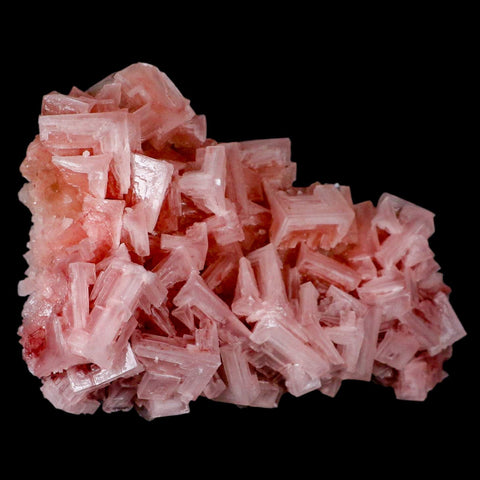 5.5" Quality Deep Pink Halite Salt Crystals Cluster Mineral Trona, CA Searles Lake - Fossil Age Minerals