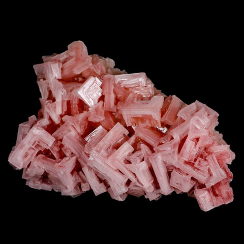 5.5" Quality Deep Pink Halite Salt Crystals Cluster Mineral Trona, CA Searles Lake - Fossil Age Minerals