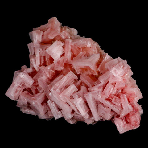 5.5" Quality Deep Pink Halite Salt Crystals Cluster Mineral Trona, CA Searles Lake - Fossil Age Minerals
