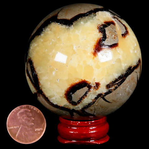 XL 55MM Septarian Dragon Stone Vug Sphere Mineral Healing Madagascar Stand - Fossil Age Minerals