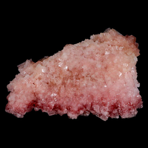 5.5" Quality Deep Pink Halite Salt Crystals Cluster Mineral Trona, CA Searles Lake - Fossil Age Minerals
