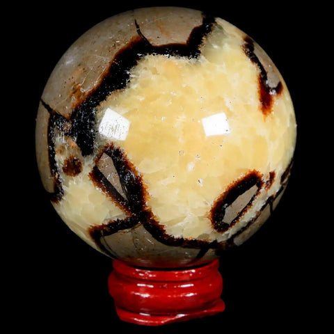 XL 55MM Septarian Dragon Stone Vug Sphere Mineral Healing Madagascar Stand - Fossil Age Minerals