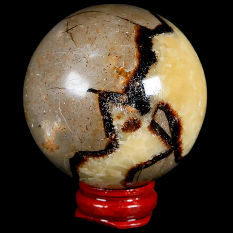 XL 55MM Septarian Dragon Stone Vug Sphere Mineral Healing Madagascar Stand - Fossil Age Minerals