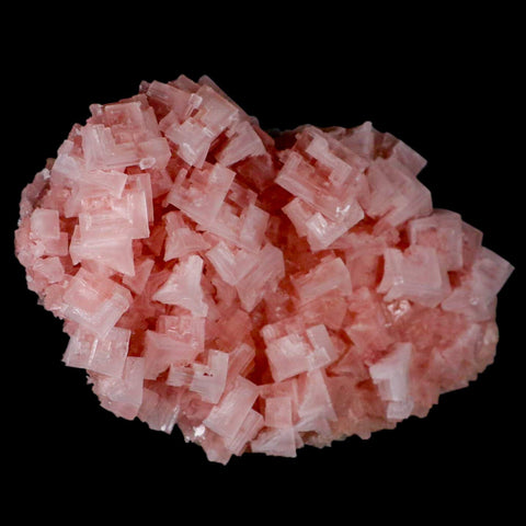 6" Quality Pink Halite Salt Crystals Cluster Mineral Trona, CA Searles Lake - Fossil Age Minerals