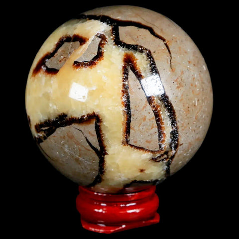 XL 55MM Septarian Dragon Stone Vug Sphere Mineral Healing Madagascar Stand - Fossil Age Minerals