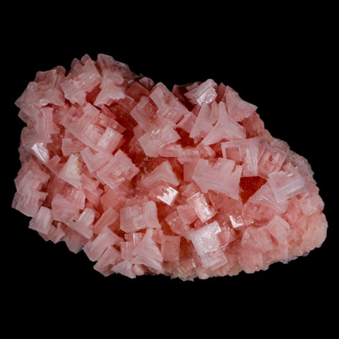 6" Quality Pink Halite Salt Crystals Cluster Mineral Trona, CA Searles Lake - Fossil Age Minerals