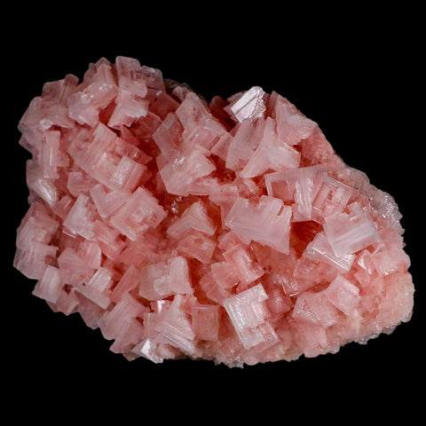 6" Quality Pink Halite Salt Crystals Cluster Mineral Trona, CA Searles Lake - Fossil Age Minerals