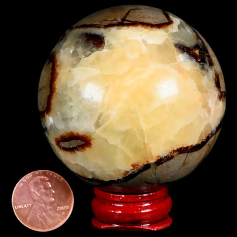 XL 57MM Septarian Dragon Stone Vug Sphere Mineral Healing Madagascar Stand - Fossil Age Minerals