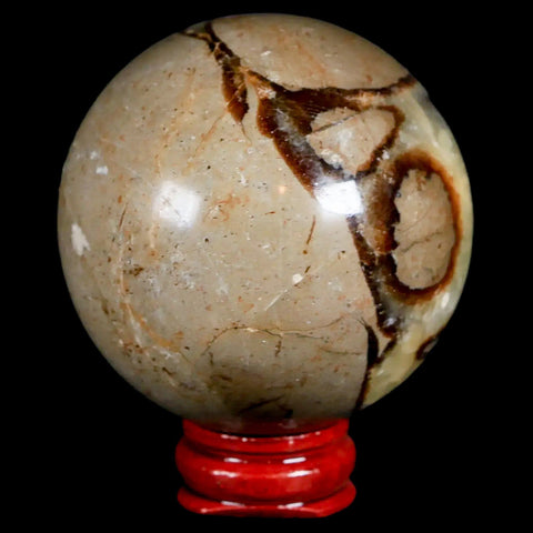 XL 57MM Septarian Dragon Stone Vug Sphere Mineral Healing Madagascar Stand - Fossil Age Minerals