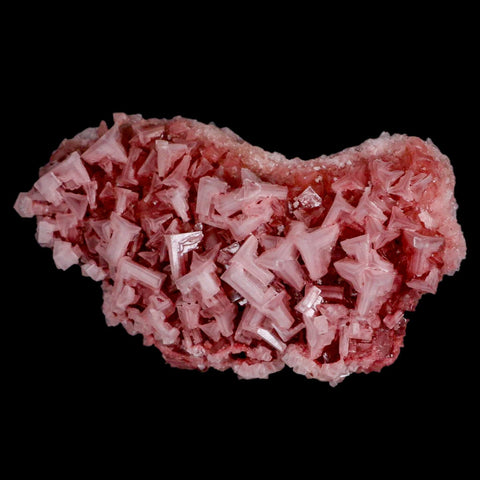 5.9" Quality Deep Pink Halite Salt Crystals Cluster Mineral Trona, CA Searles Lake - Fossil Age Minerals