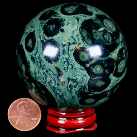 XL 62MM Green Eye Kambaba Jasper Sphere Stromatolite Algae Fossil Peacock Stand - Fossil Age Minerals