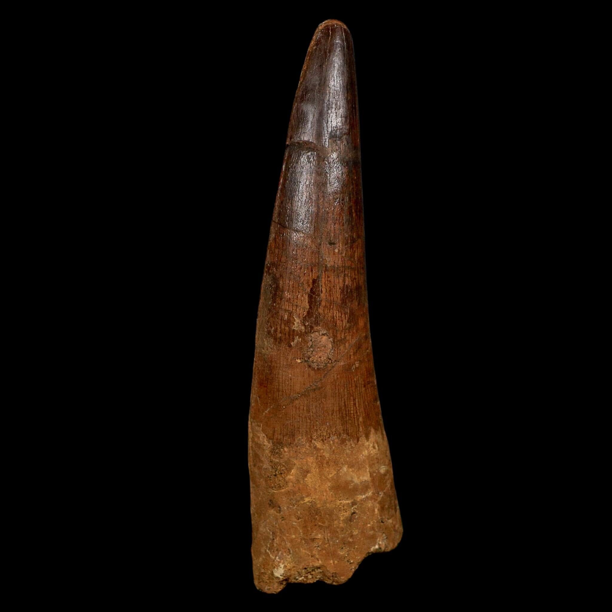 XL 3.7