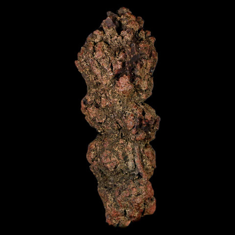 3.6" Prehistoric Coprolite Fossil Specimen Poop Dung Miocene Madagascar - Fossil Age Minerals