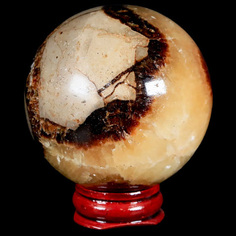 XL 58MM Septarian Dragon Stone Vug Sphere Mineral Healing Madagascar Stand - Fossil Age Minerals