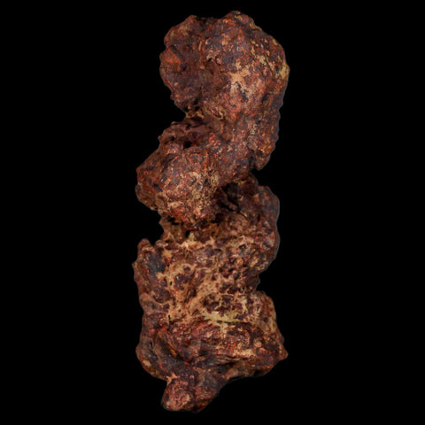 3.3" Prehistoric Coprolite Fossil Specimen Poop Dung Miocene Madagascar - Fossil Age Minerals