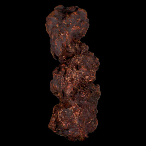3.3" Prehistoric Coprolite Fossil Specimen Poop Dung Miocene Madagascar - Fossil Age Minerals