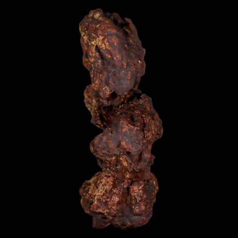 3.3" Prehistoric Coprolite Fossil Specimen Poop Dung Miocene Madagascar - Fossil Age Minerals
