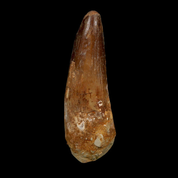 XL 3.7