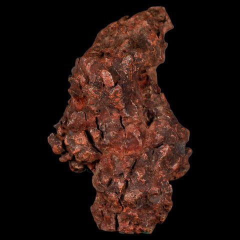 2.7" Prehistoric Coprolite Fossil Specimen Poop Dung Miocene Madagascar - Fossil Age Minerals