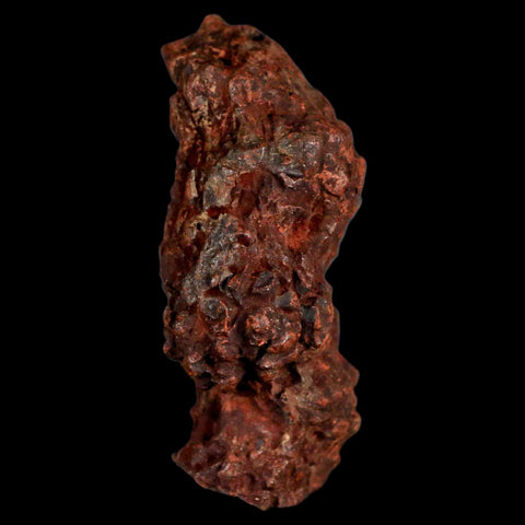 2.7" Prehistoric Coprolite Fossil Specimen Poop Dung Miocene Madagascar - Fossil Age Minerals