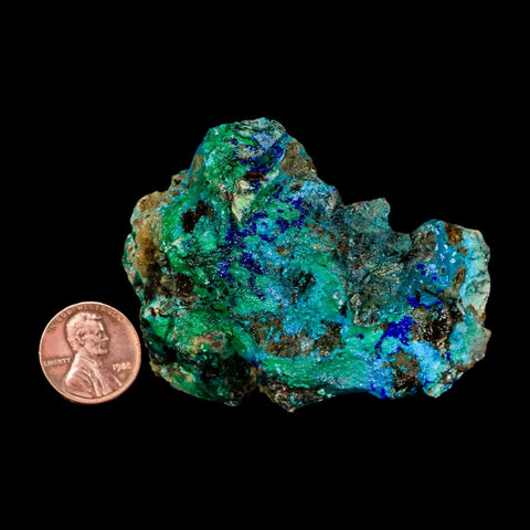 2.6" Azurite, Chrysocolla And Malachite Crystal Mineral Specimen On Matrix From Peru