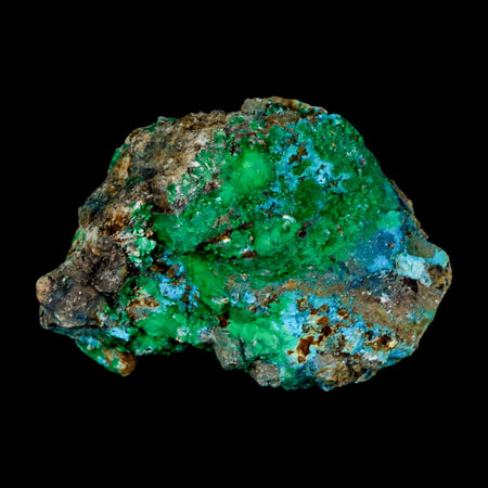 2.6" Chrysocolla And Malachite Crystal Mineral Specimen On Matrix From Peru