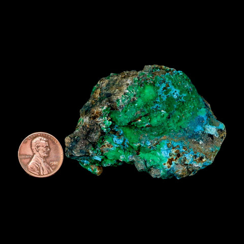 2.6" Chrysocolla And Malachite Crystal Mineral Specimen On Matrix From Peru